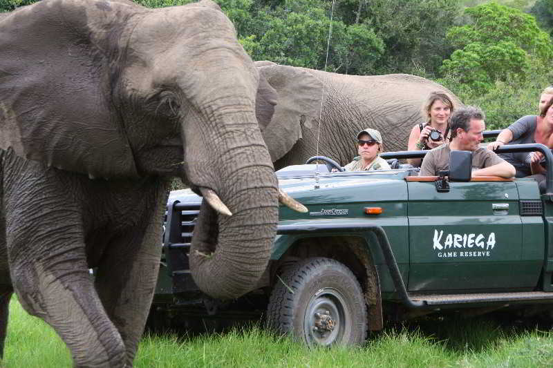 Kariega Game Reserve Bushman's River Mouth Eksteriør bilde