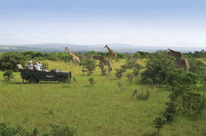 Kariega Game Reserve Bushman's River Mouth Eksteriør bilde